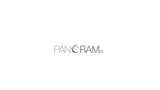 Providing Excellence In Photorealistic 3d Renderings And Animations - Panoram CGI