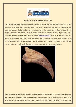 Buying Guide Finding the Best Dinosaur Claw