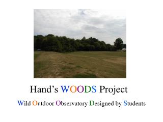 Hand’s W O O D S Project