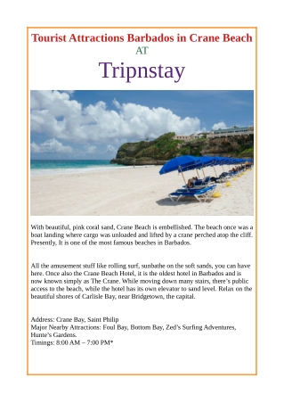 Tourist Attractions Barbados in Crane Beach at Tripnstay