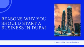 Reasons Why You Should Start A Business In Dubai