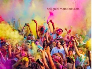 Herbal holi colours and gulal powder manufacturers