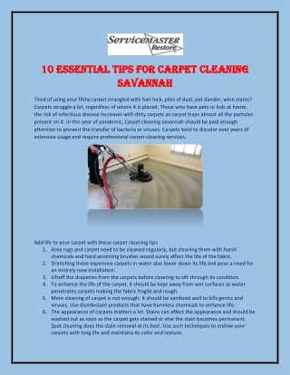 Are You Looking Best Carpet Cleaning Company