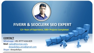 Hire SEO Expert – Best Fiverr and SEOClerk SEO Freelancer