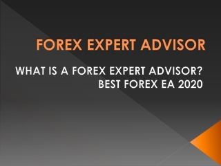 Forex Expert Advisor 2020 - Learn how to trade with an EA