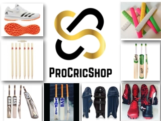 Buy Cricket Accessories Online