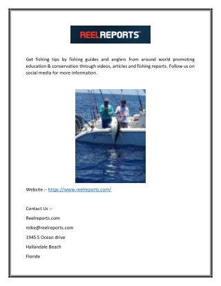 Online Fishing Tips  -  |  -  (ReelReports.com)