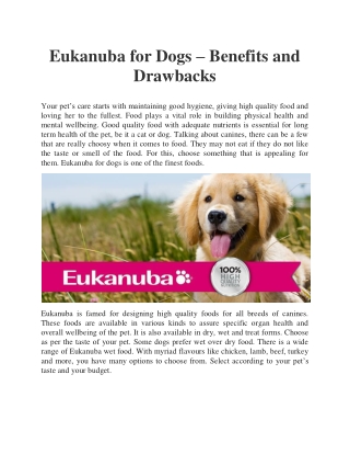 Eukanuba for Dogs – Benefits and Drawbacks