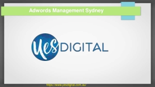 Adwords Management Sydney