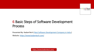 Custom Software Development Company in India