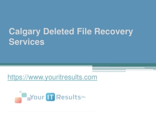 Calgary Deleted File Recovery Services - www.youritresults.com