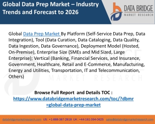 Data prep market