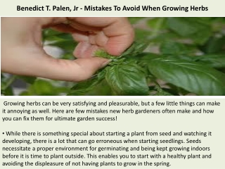 Benedict T. Palen, Jr - Mistakes To Avoid When Growing Herbs