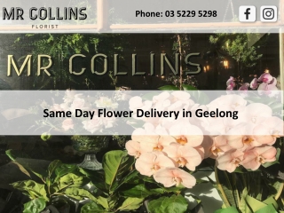 Same Day Flower Delivery in Geelong
