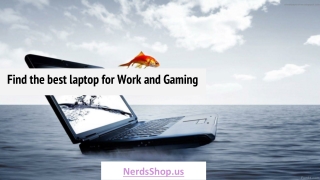 NerdsShop: Thin & Light Laptops, Equally Suitable for Gaming