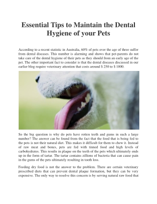 Essential Tips to Maintain the Dental Hygiene of your Pets