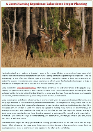 A Great Hunting Experience Takes Some Proper Planning