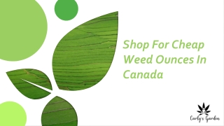 Shop For Cheap Weed Ounces In Canada - Carly's Garden