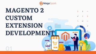 Magento Custom Extension Development Service