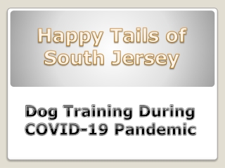 Dog Training During COVID-19 Pandemic