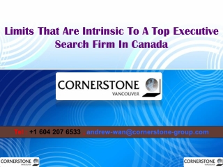 Limits That Are Intrinsic To A Top Executive Search Firm In Canada