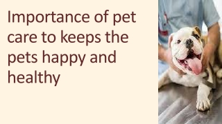 Importance of pet care to keeps the pets happy and healthy