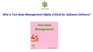 Why is Test Data Management Highly Critical for Software Delivery?