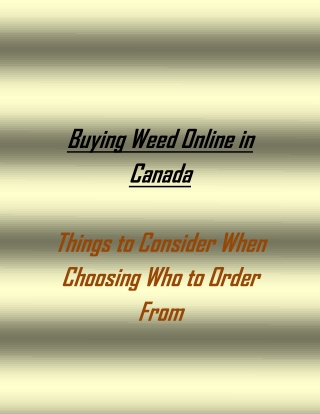 Buying Weed Online in Canada- Things To Consider When Choosing Who to Order From