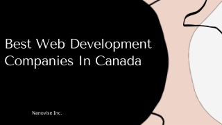 Best Web Development Companies In Canada | Nanovise Inc.