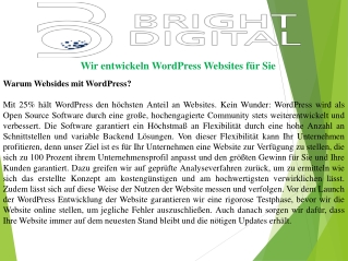 Wir entwickeln WordPress Websites für Sie