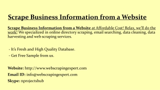 Scrape Business Information from a Website