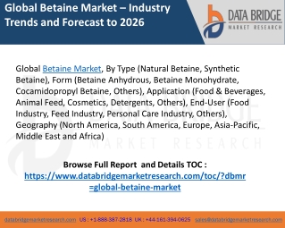 Global betaine market