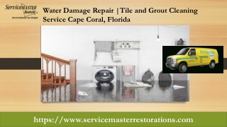 Water Damage Repair | Mold Removal Cape Coral