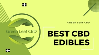 Everything you Need to Know About the Best CBD Edibles