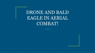 DRONE AND BALD EAGLE IN AERIAL COMBAT!