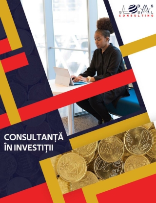 Consultanta in investitii pentru succesul afacerii