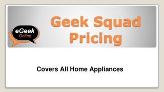 Geek Squad Pricing