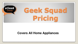 Geek Squad Pricing