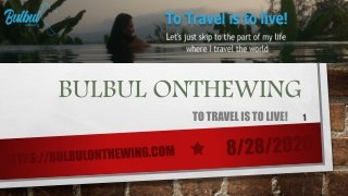 Professional Travel Guide and Travel Information | Bulbulonthewing
