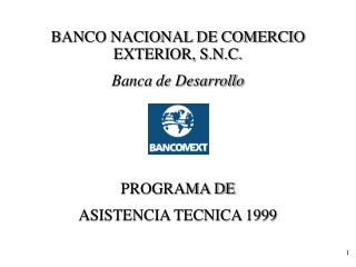 BANCO NACIONAL DE COMERCIO EXTERIOR, S.N.C. Banca de Desarrollo PROGRAMA DE ASISTENCIA TECNICA 1999