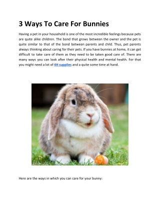 3 Ways To Care For Bunnies