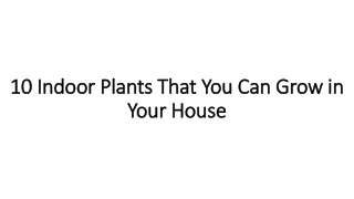 10 Indoor Plants That You Can Grow in Your House