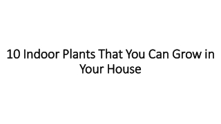 10 Indoor Plants That You Can Grow in Your House