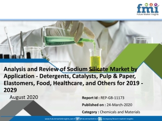 Sodium Silicate Market