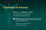 Overview of Anemia