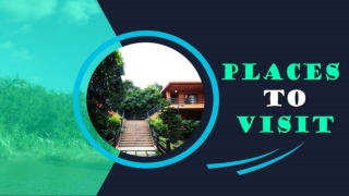 Best Places To Visit In Jim Corbett | Best Resort In Jim Corbett