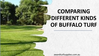 Comparing Different Kinds Of Buffalo Turf