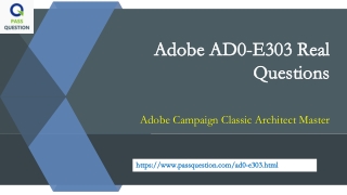 Adobe AD0-E303 Practice Test Questions