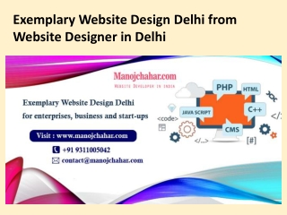 Exemplary Website Design Delhi from Website Designer in Delhi