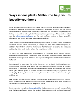 Ways indoor plants Melbourne help you to beautify your home